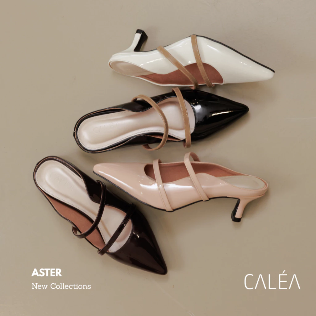 CALEA ASTER 2